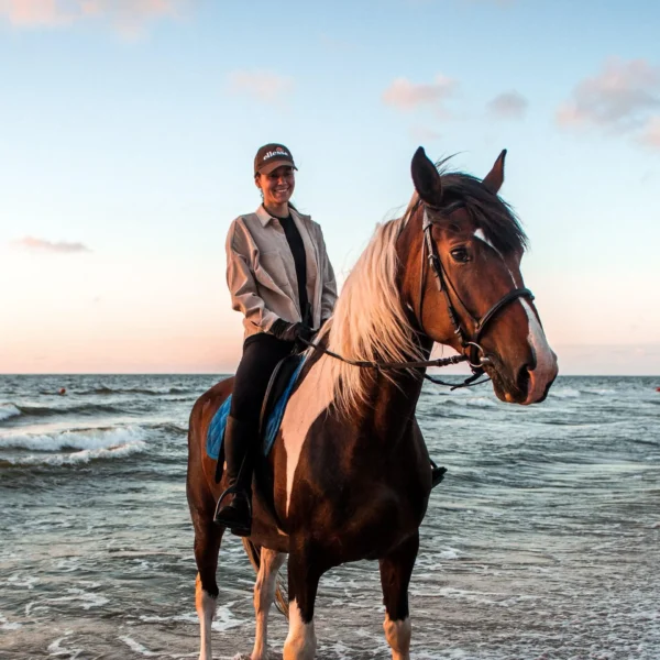 Sea and Desert Horse Riding Tour in Hurghada